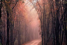 亿万28官网：[CBA]梅肯妙传 威尔逊追身三分应声入网.