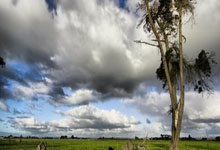 巴塞意外输球 西甲头名位置岌岌可危.