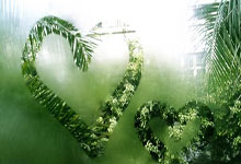 老熟人了欧文ACL主刀医生经验丰富 5年前还给他做过肩部手术.