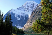 亿万28官网：[CBA]5人得分上双 上海艰难战胜宁波.