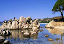 亿万28官网：亚冠精英联赛：上海申花无缘八强 中超球队全部出局.